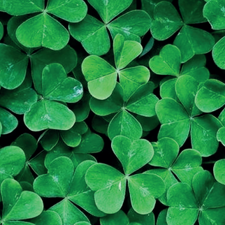 Quelle: pixabay.com